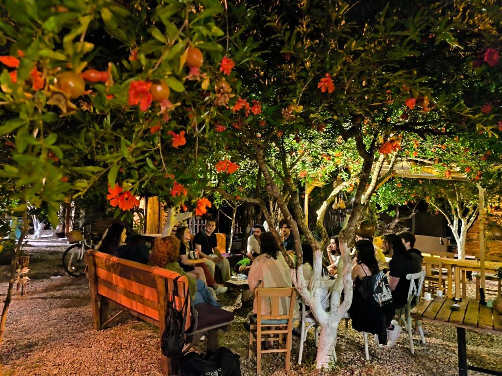 a group of people sitting under a tree at Litost Cafe in Adrasan