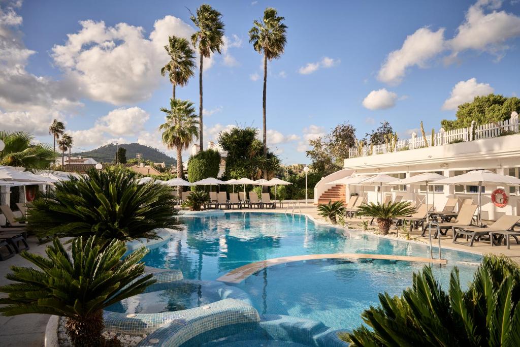 卡拉博納的住宿－加泰羅尼亞領事酒店- 僅限成人，一座棕榈树大型游泳池和一座建筑