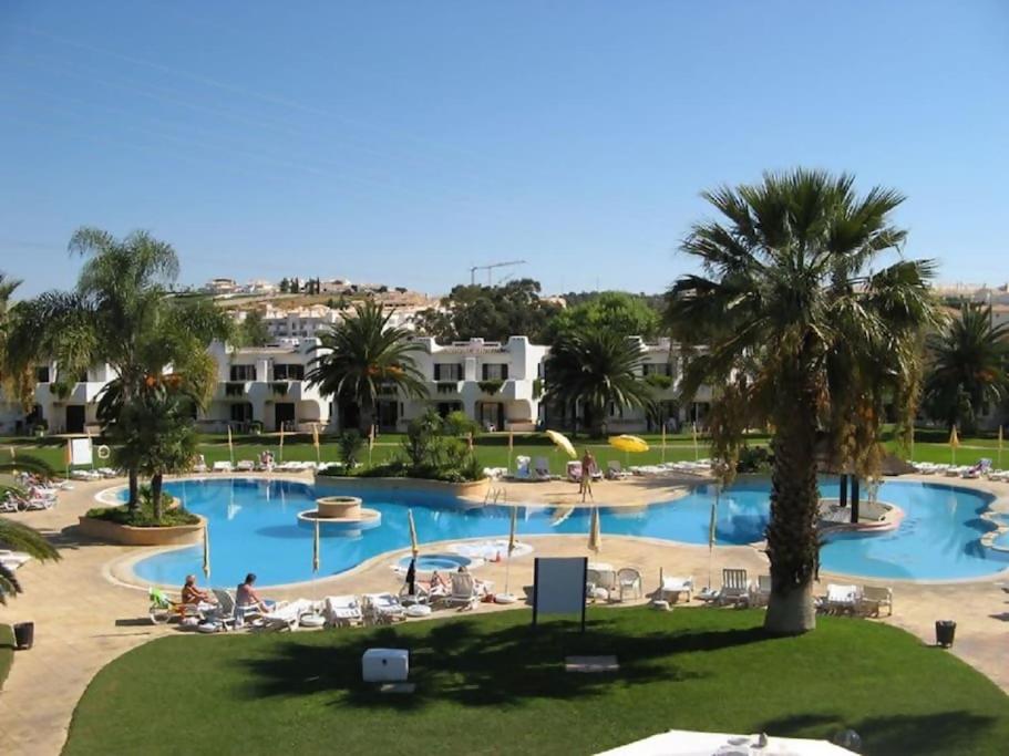 a view of a large swimming pool with palm trees at Sabine Apartamento T1 Superior in Albufeira