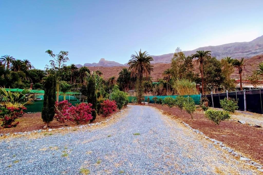 una strada sterrata con palme e una recinzione di Renovated Tiny House a San Bartolomé