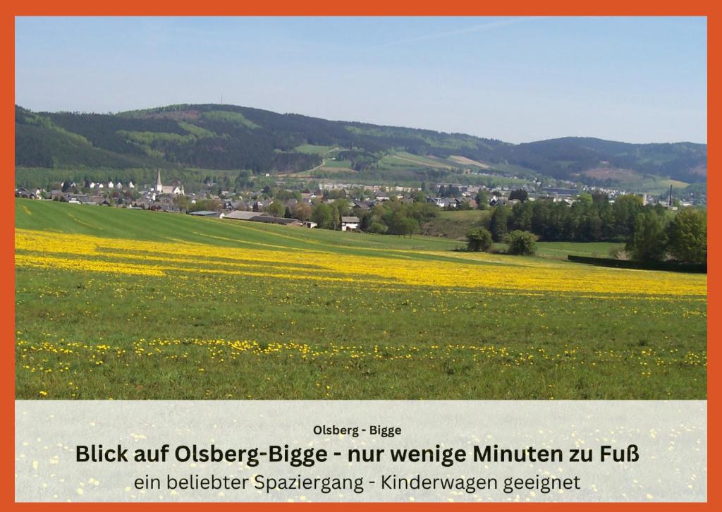 Ferienwohnungen Sauerland und Olsberg - 