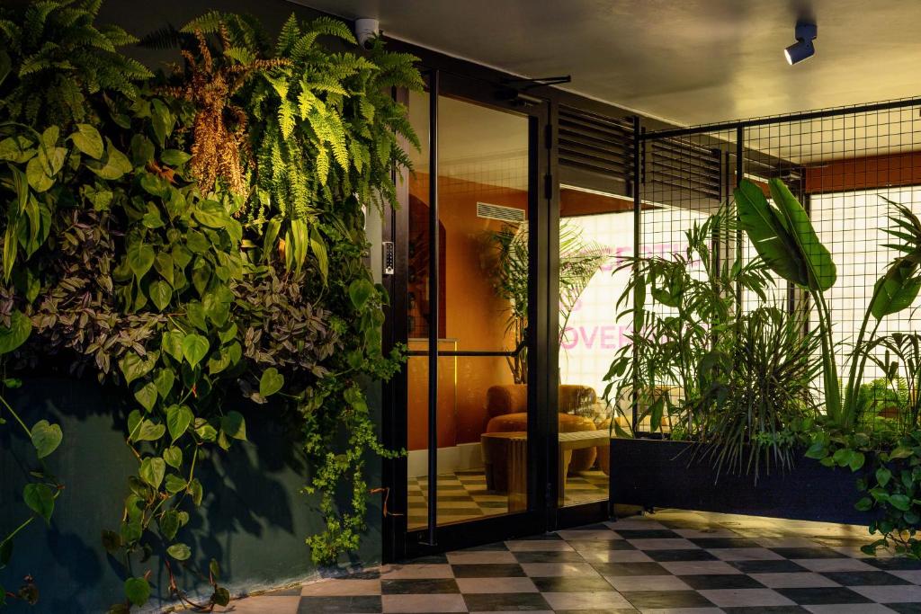 Zahrada ubytování Savanna - by Loginn Tel-Avivian hotels