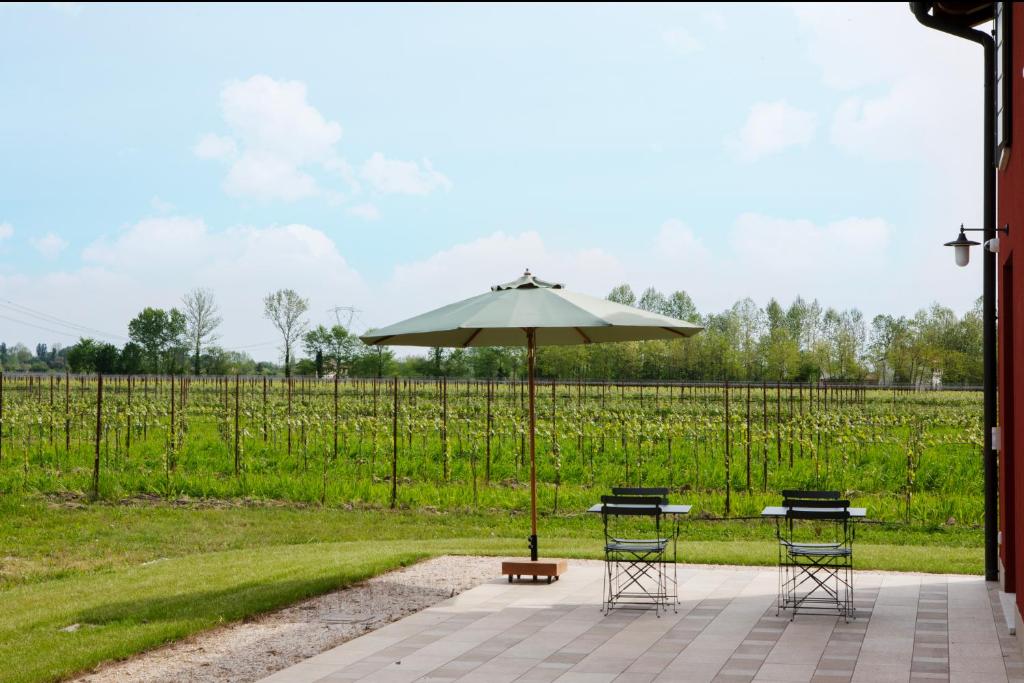 Zahrada ubytování Agriturismo La Rosarnetta