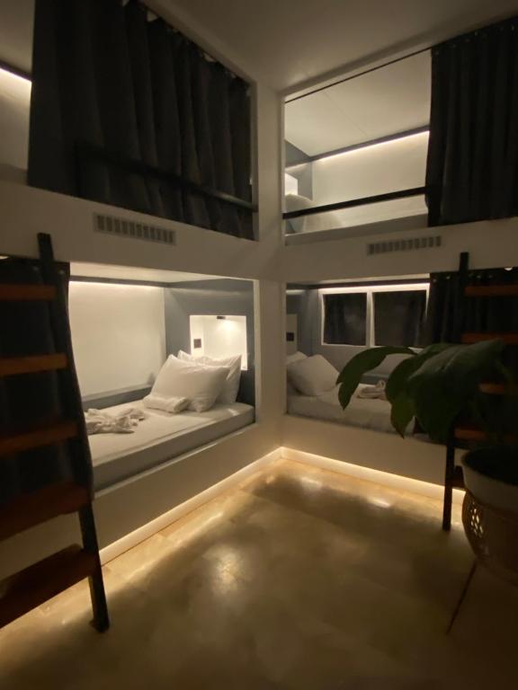 Postel nebo postele na pokoji v ubytování Wild Monkeys Hostel