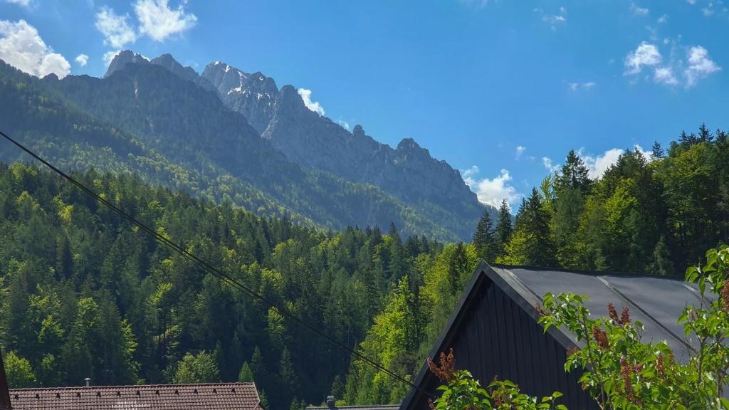 Příroda nedaleko apartmánu