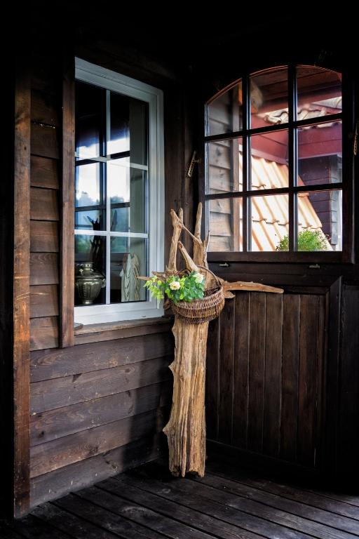 Rustic wooden porch corner with wicker basket of green flowers hanging from driftwood near windows.
