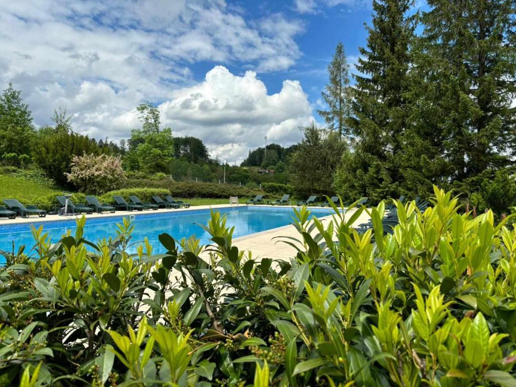 Bazén v ubytování Beltine Forest Hotel nebo v jeho okolí
