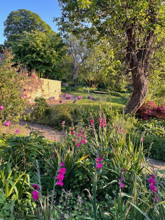 a garden with pink flowers and a tree at Masons Cottage, an Idyllic retreat in an area of outstanding beauty, close to Blenheim Palace, Oxford & The Cotswolds in Stonesfield