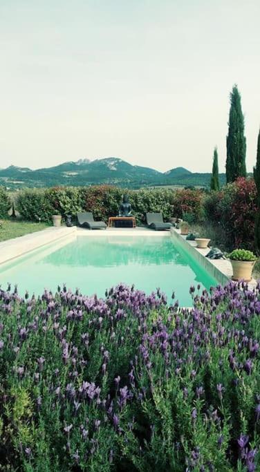 a swimming pool in a garden with purple flowers at La cabane d'Alcée in Vacqueyras