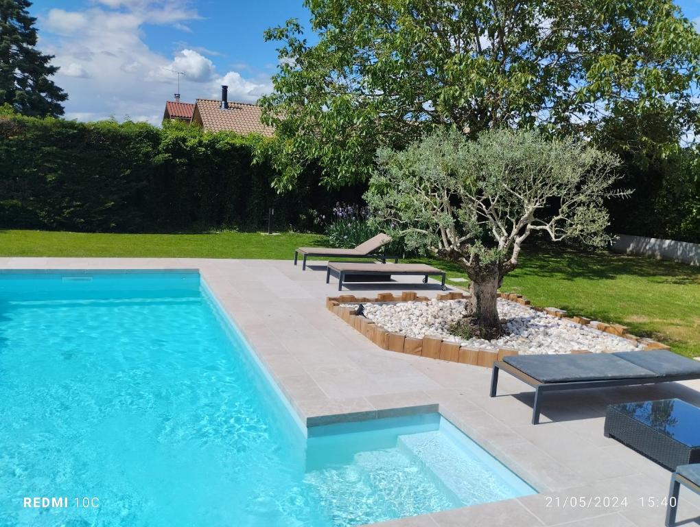 uma piscina com dois bancos e uma árvore em Chez Amélie em Crémieu