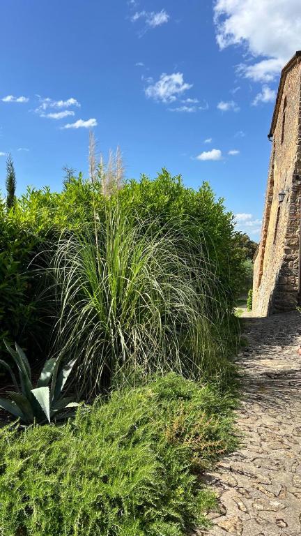 Ogród w obiekcie Agriturismo Podere Cortilla