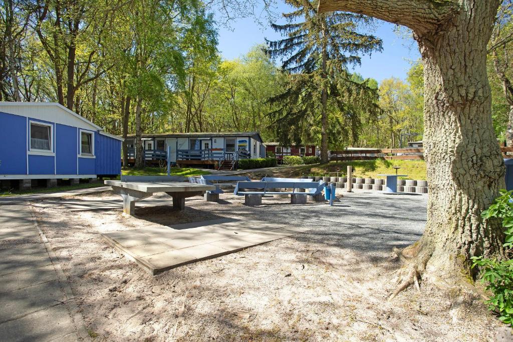 un parque con una mesa de picnic y un árbol en Bungalow Netzboden, Bgl 28, en Dranske