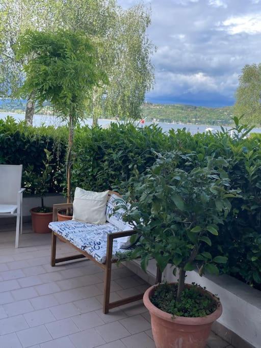a bench sitting on a patio with two trees at La Casetta 115 fronte lago in Castelletto sopra Ticino
