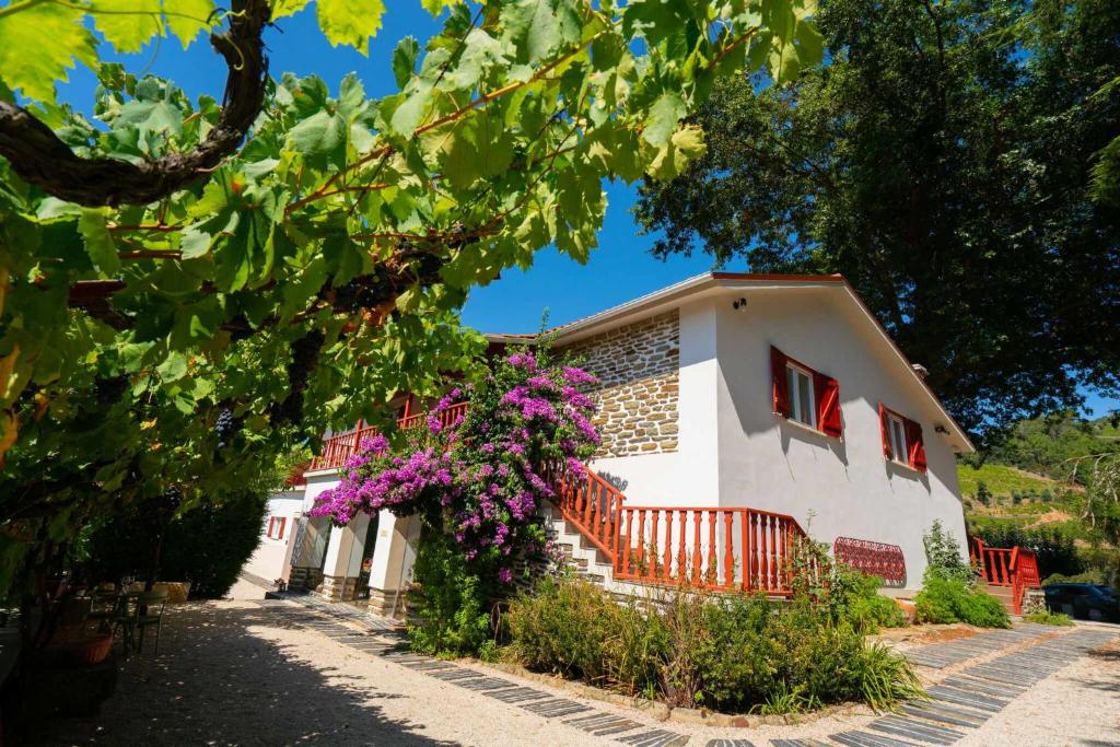 Quinta da Pousada Casa de Campo - 9