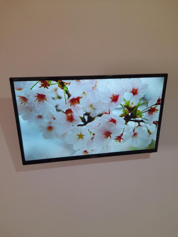 TV a/nebo společenská místnost v ubytování Guest House Ani