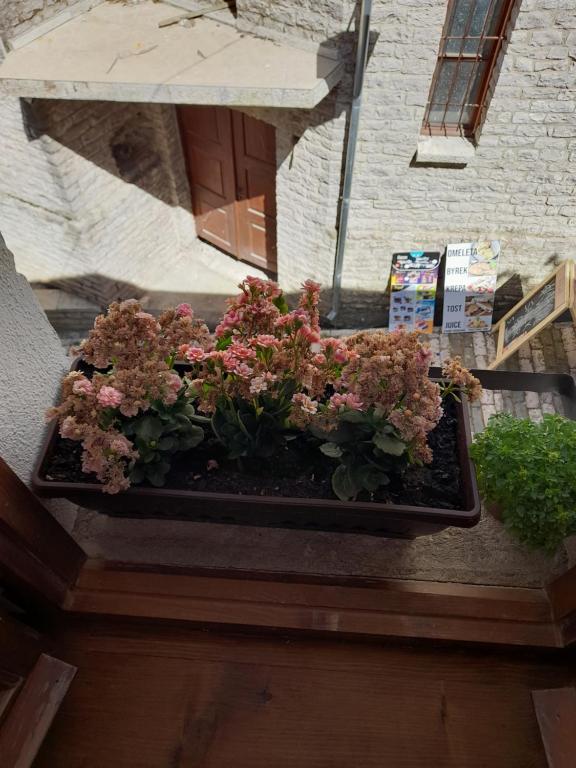 Zahrada ubytování Guest House Ani