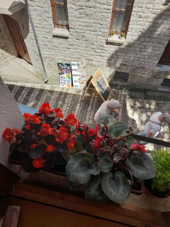 Zahrada ubytování Guest House Ani