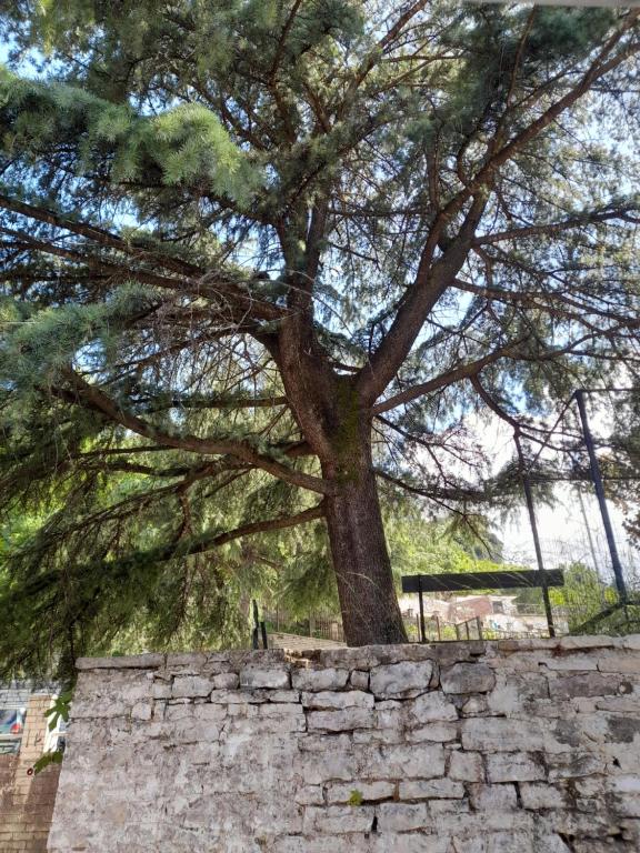 Fotografie z fotogalerie ubytování Guest House Ani v destinaci Gjirokastër