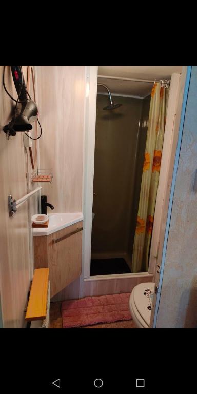 Koupelna v ubytování Charmant Mobil home style chalet
