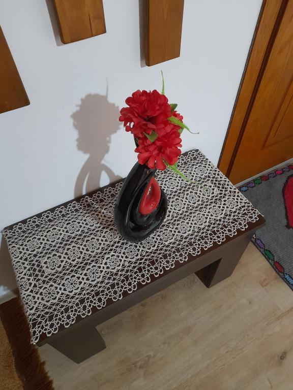 Fotografie z fotogalerie ubytování Guest House Ani v destinaci Gjirokastër
