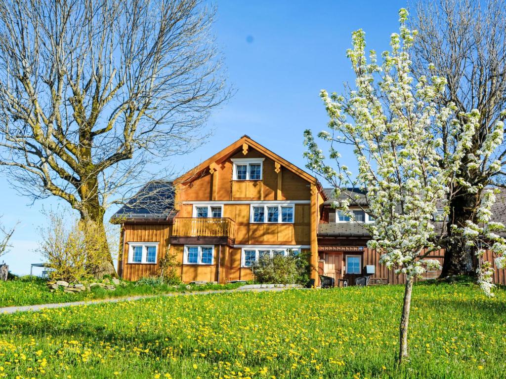 Haslen的住宿－阿爾卑施泰因山景公寓，一座大木房子,位于田野上,有一棵树