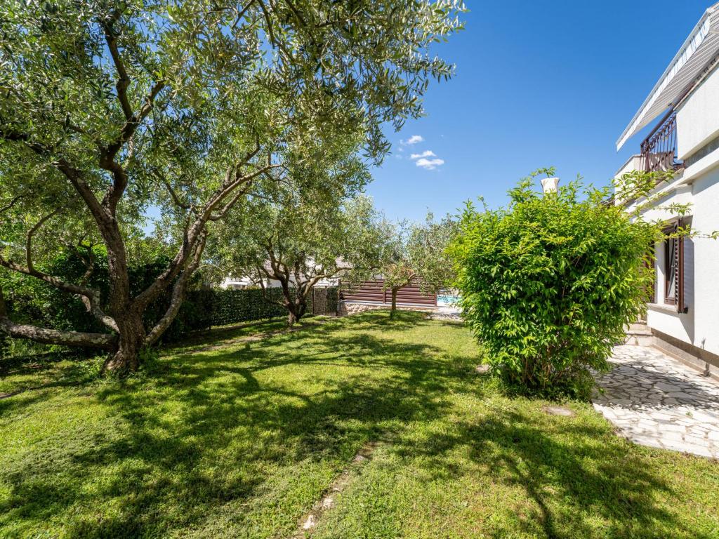 Vonkajšia záhrada v ubytovaní Apartment Albaneze by Interhome