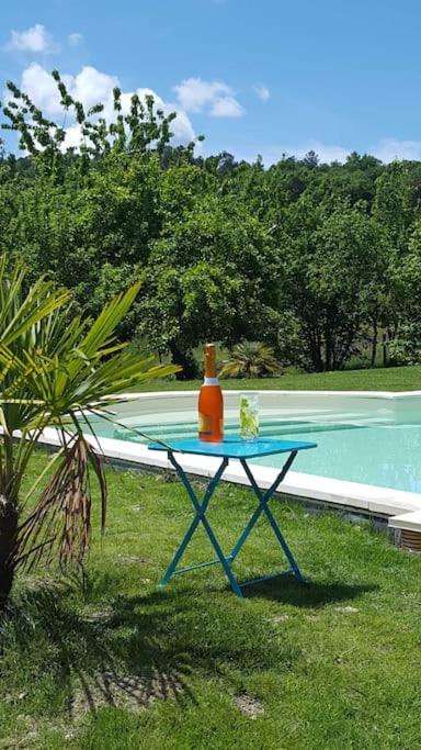 une table bleue avec une bouteille dessus à côté d'une piscine dans l'établissement Villa Caroly, à Léguillac-de-Lauche