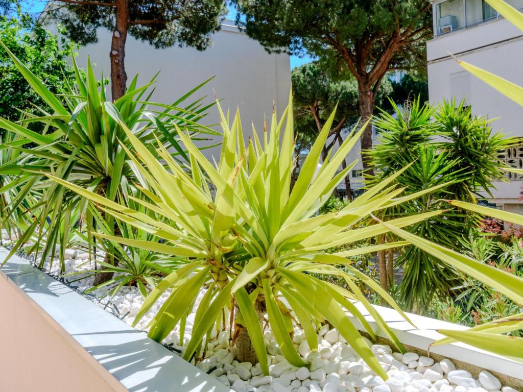 Vonkajšia záhrada v ubytovaní Apartment Antinéa-4 by Interhome