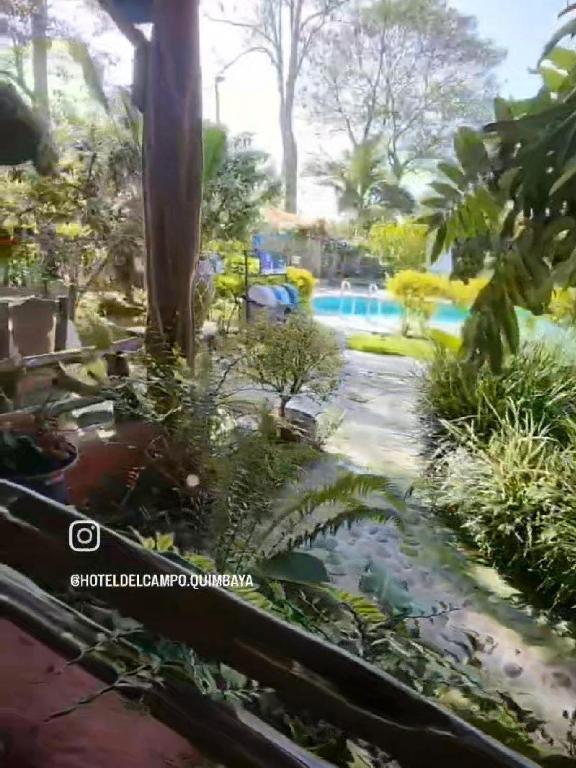 Bassein majutusasutuses Hotel del Campo või selle lähedal