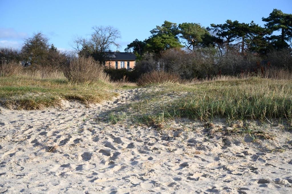 een onverharde weg die leidt naar een huis in een veld bij Villa Westwind in Thiessow
