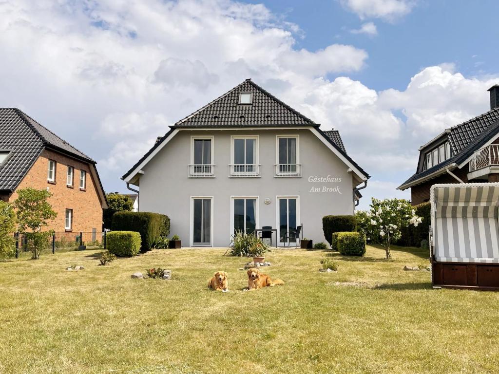 una casa blanca con dos perros tirados en el césped en Gästehaus am Brook mit 5 Ferienwohnungen, en Moritzdorf
