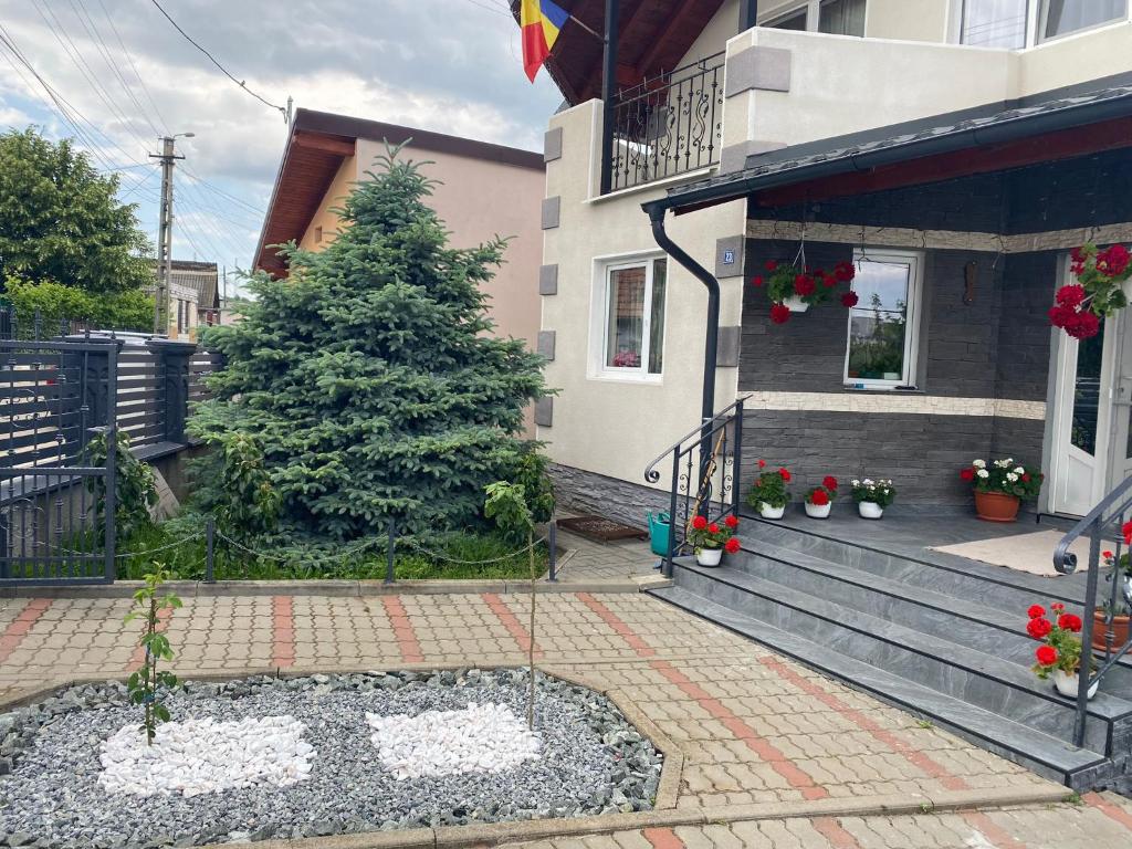 Zahrada ubytování Casa LMS