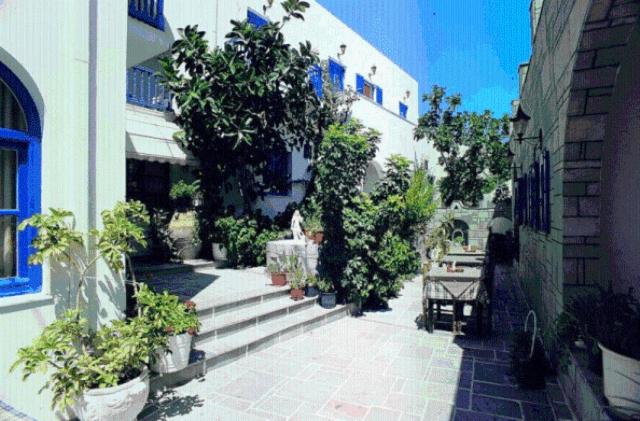 a courtyard with potted plants next to a building at Minoa Hotel in Naousa