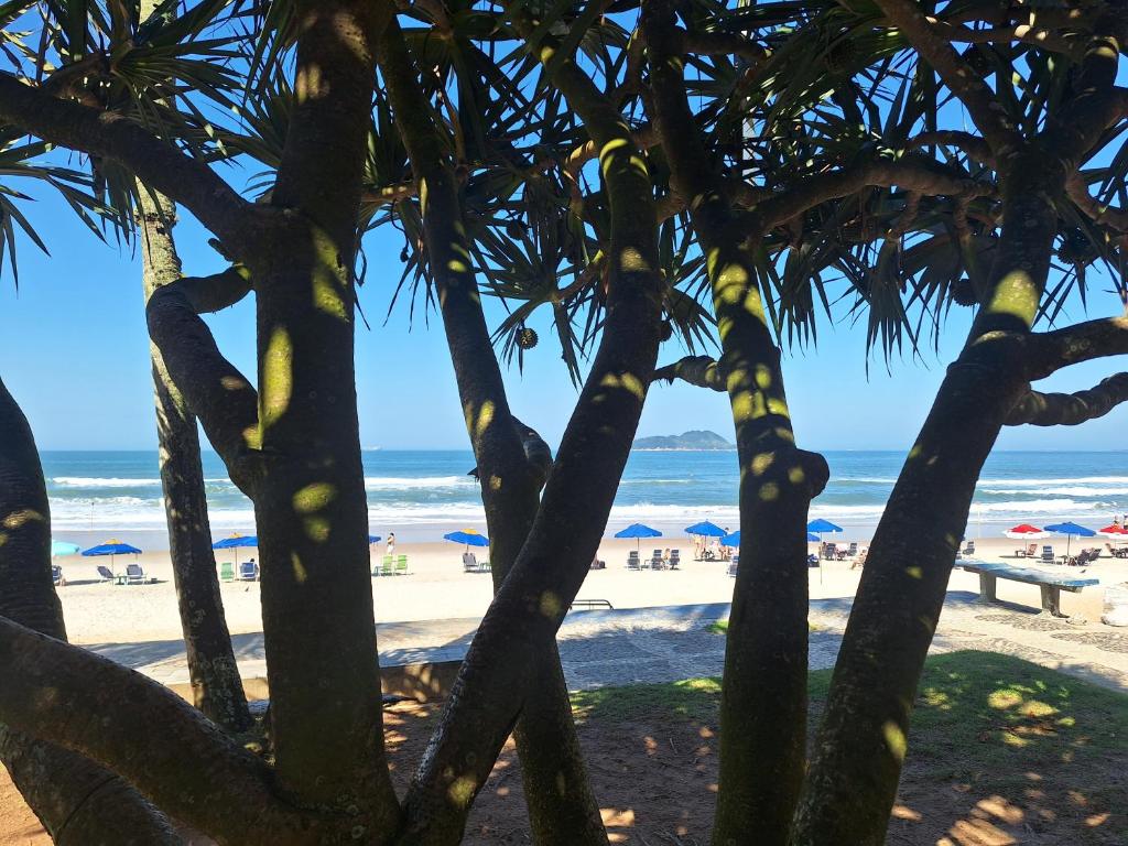 a view of the beach from behind some palm trees at Duplex pé na areia, praia do Tombo - Guarujá/SP. in Guarujá