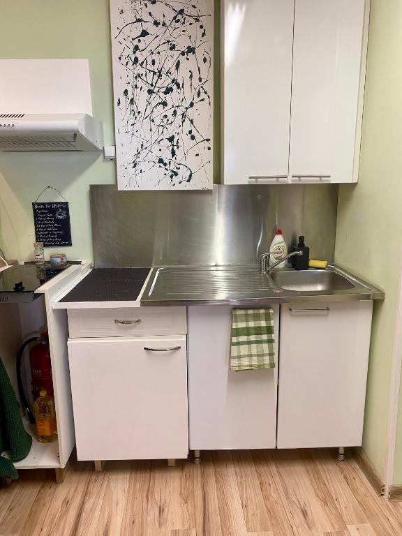 Kuchyň nebo kuchyňský kout v ubytování Henno Studio Apartment