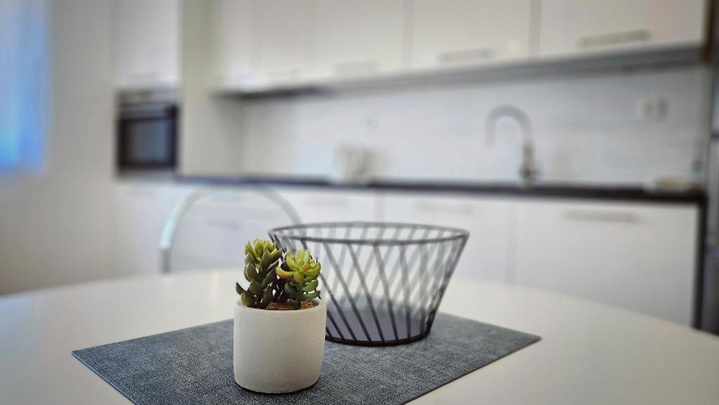 Kuchyň nebo kuchyňský kout v ubytování Apartment Zore