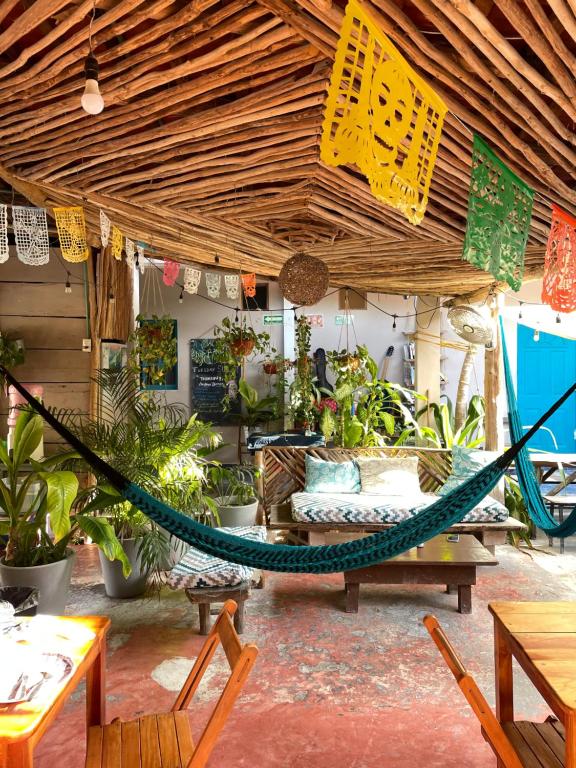 Fotografie z fotogalerie ubytování Barco Verde Hostel v destinaci Ostrov Holbox