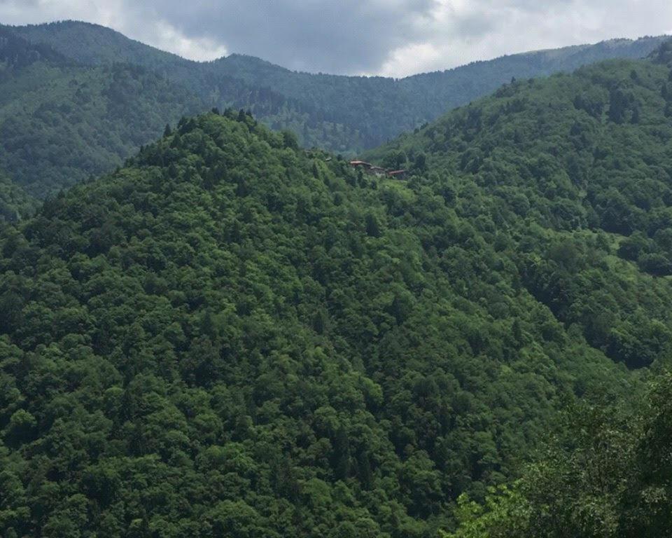 uma vista aérea de uma montanha verdejante em DEĞİRMEN KÖY EVLERİ em Çamlıhemşin