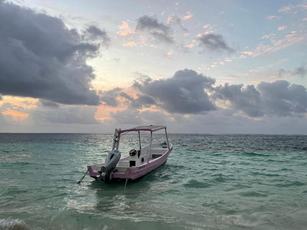 Home's Jungle Puerto Morelos Cancun 20 Minutes from the Airport في كانكون: وجود قارب يجلس في الماء على المحيط