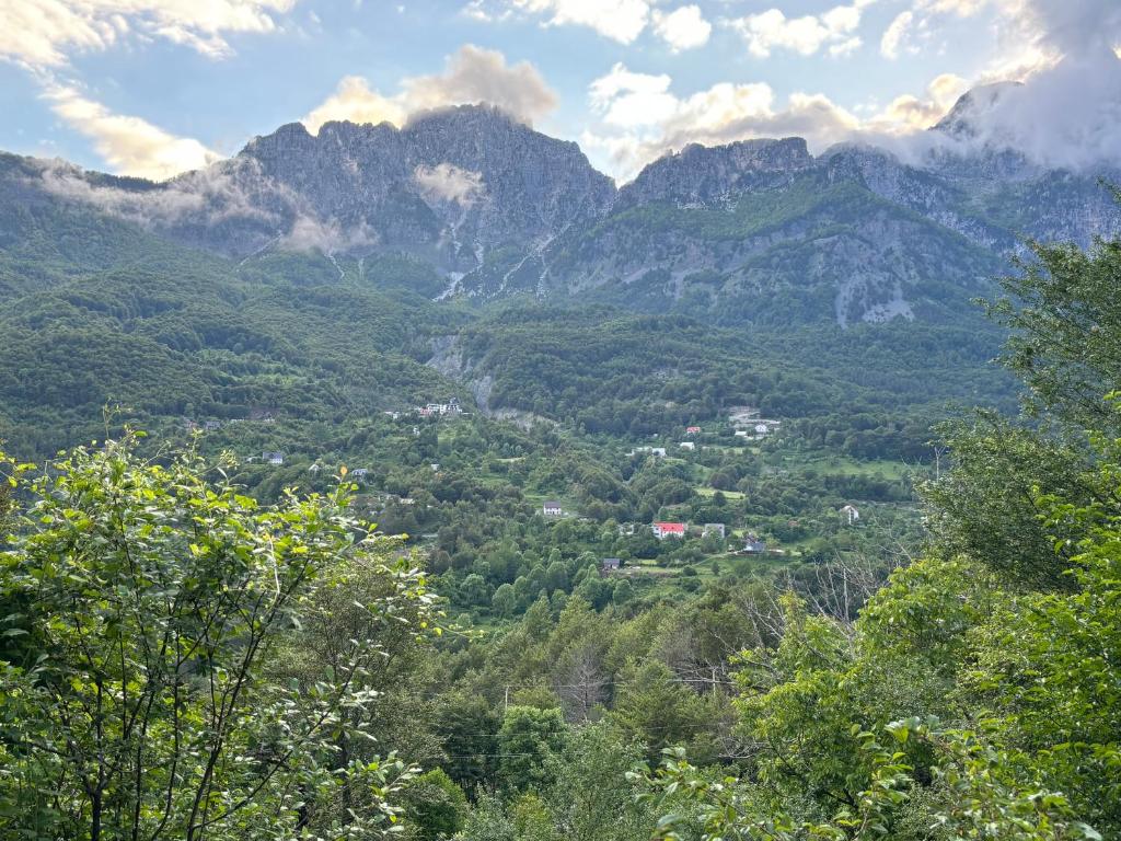 Przyroda w pobliżu tego pensjonatu