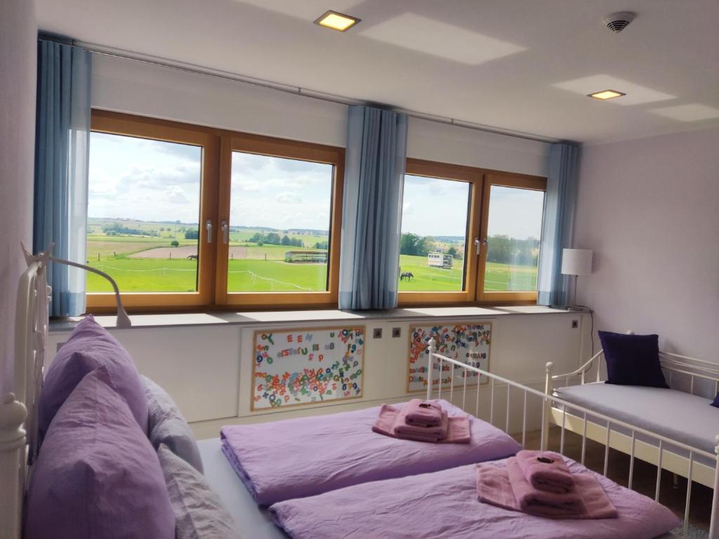丁克爾斯比爾的住宿－SCHEE Ferienwohnung Dinkelsbühl，带2扇窗户的客房内的2张床