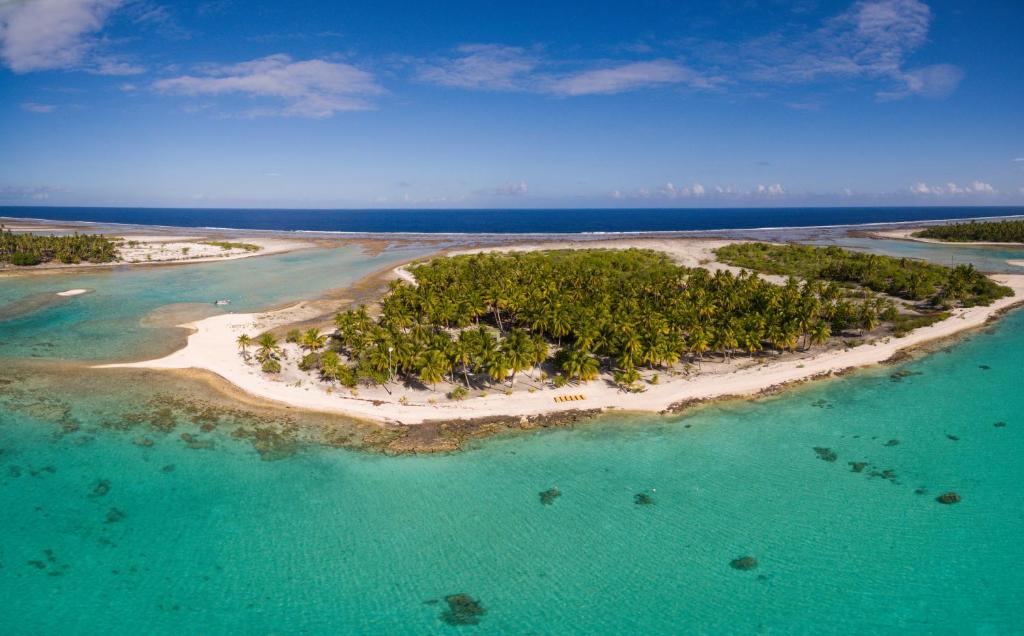 una isla en el océano con árboles en el agua en Fafarua Ile Privée Private Island, en Tikehau