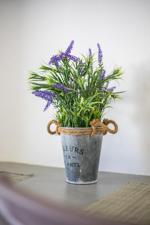 Lisabeth Apartments - 17