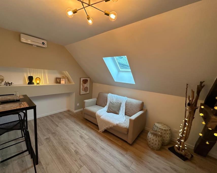 un salon avec un canapé et une fenêtre dans l'établissement Victoria 2 personnes, à Amiens