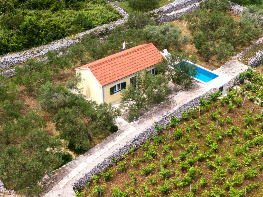 Bazén v ubytování Vineyard House & Olive Grove House nebo v jeho okolí