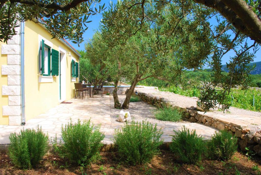 Zahrada ubytování Vineyard House & Olive Grove House