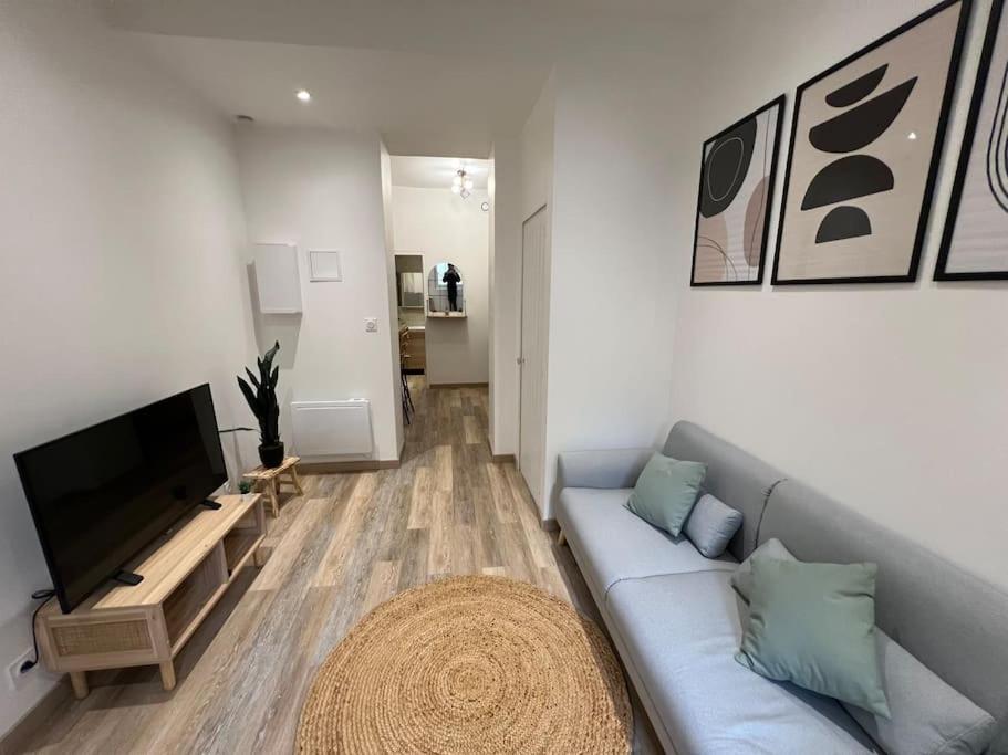 un salon avec un canapé et une télévision à écran plat dans l'établissement Très bel appartement neuf Avignon, à Avignon