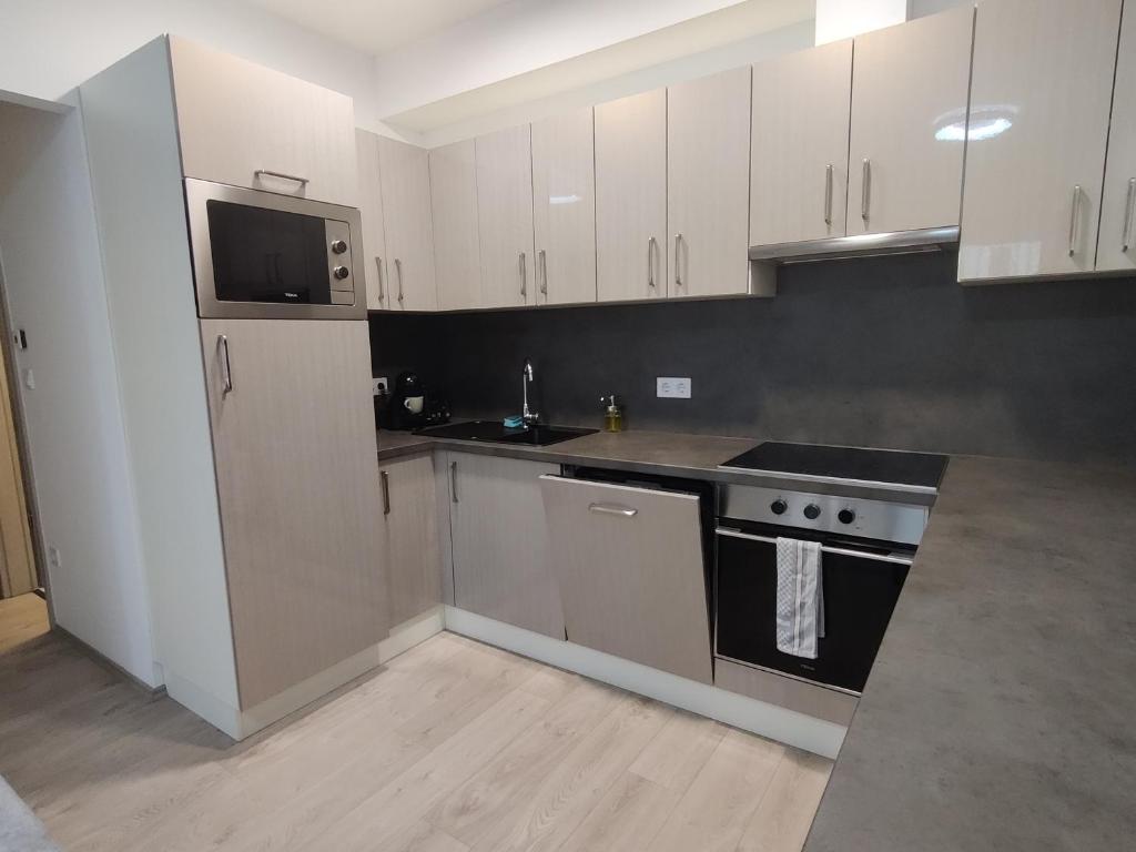 Kuchyň nebo kuchyňský kout v ubytování Belvaros Resort Apartman & Spa