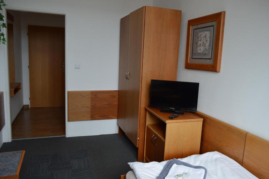 TV a/nebo společenská místnost v ubytování Hotel Peliny