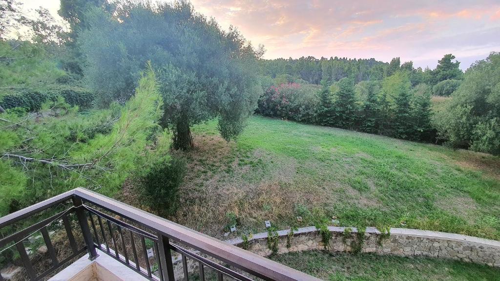 Zahrada ubytování Hotel Pashos